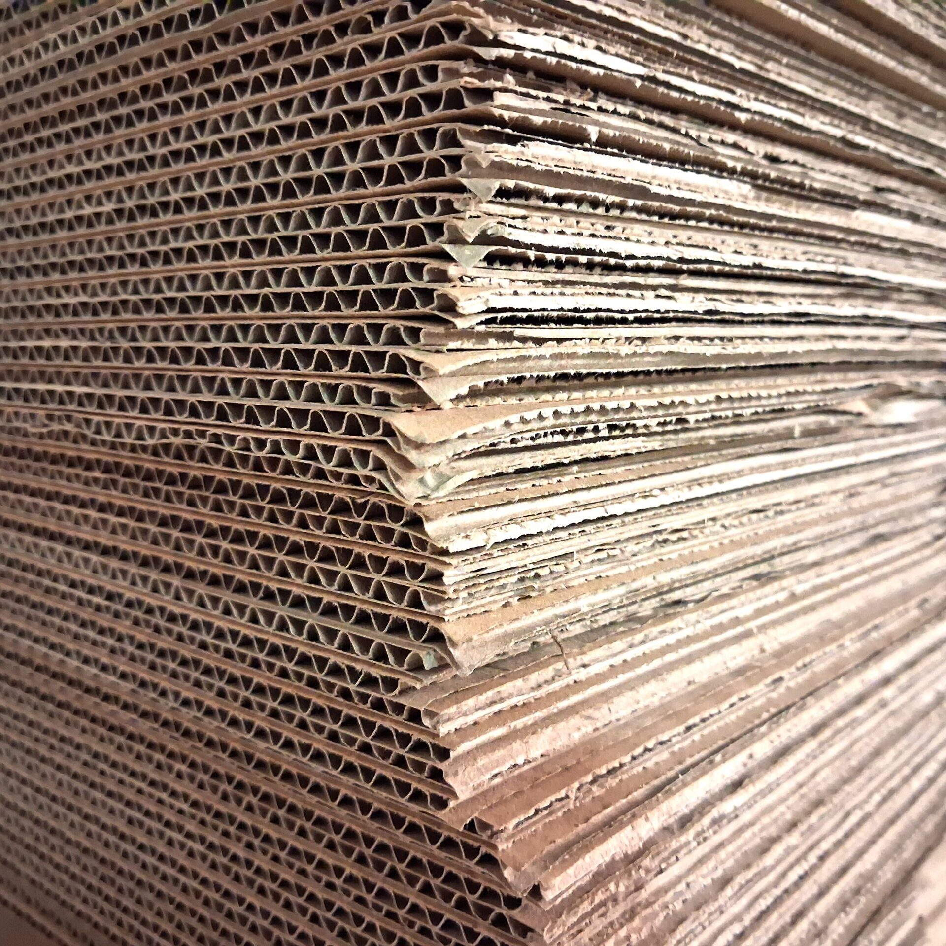 embalajes_sin_plastico_logistica