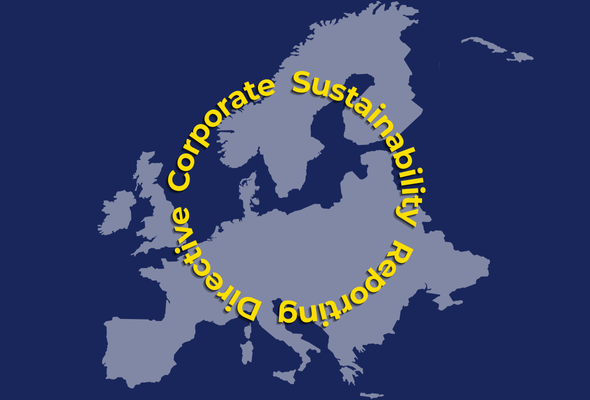 csrd_consultoria_no_printing